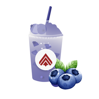  BLUEBERRY ANTIOXIDANT