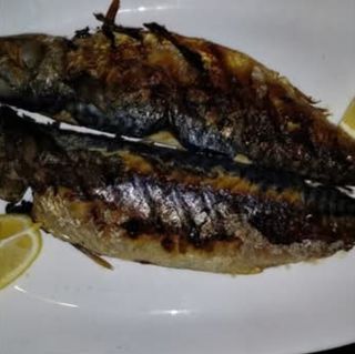 Скумрия на скара