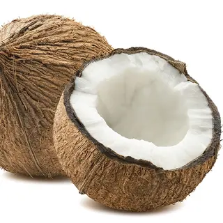 COCCO