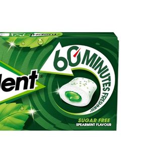 Trident 60 Minutos LL Spearmint 22 gr