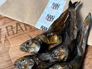 Бичок Балтійський Середній (вага 25-45г., довжина 15-17см, 30шт/кг)  (3 шт)