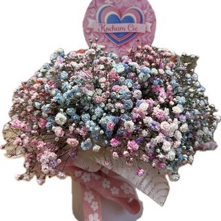 Box z kolorowej gipsowki 