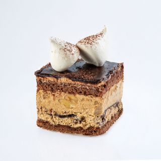 სენატორი