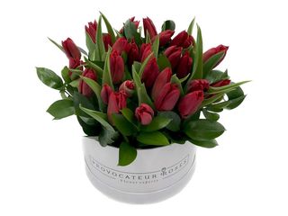 Caja De Tulipanes Rojos Con Verdes Variados (20 Uds)