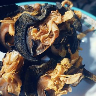Jumbo Dry snails 4 pieces