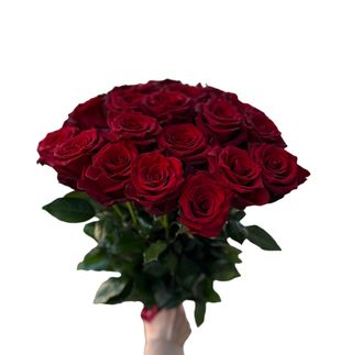 Róże ekwadorskie czerwone 11 szt. średniej wysokości