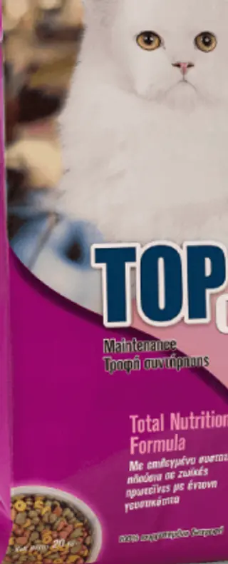 Top Cat
