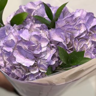 Hortensias Lavanda 3 Tallos