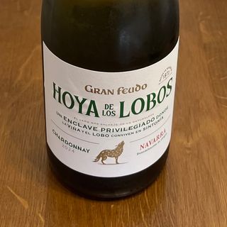 Hoya de Lobos - Vi blanc - (D.O. Navarra)