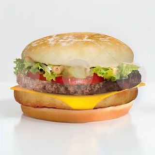 Crousty Burger Steak Rosti