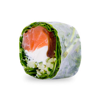 SPR1 SALMON SPRING 6szt