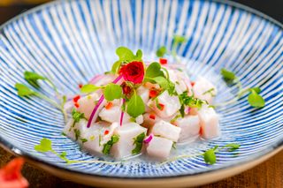 Ceviche ricciola