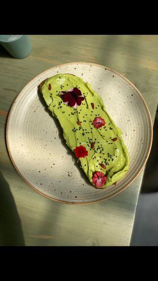 Avokado tost