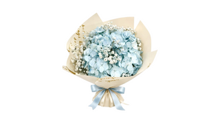 Buchetul Zilei cu Hortensia MICA MIX, Multicolor