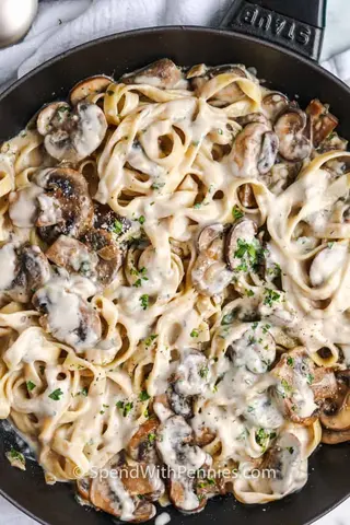 Pasta Fungi (cogumelos) 