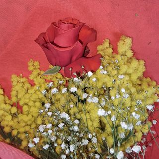 Rosa orange con mimosa