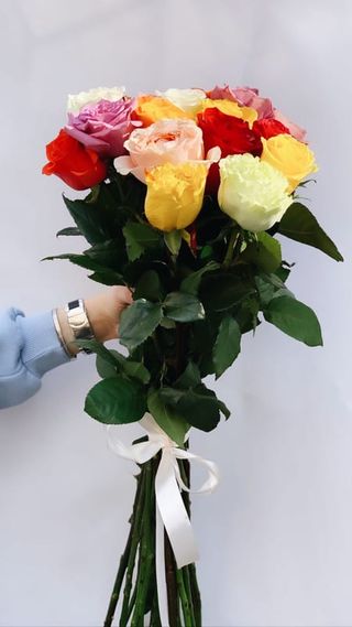 10 ფერადი ვარდი / 10 colorful roses