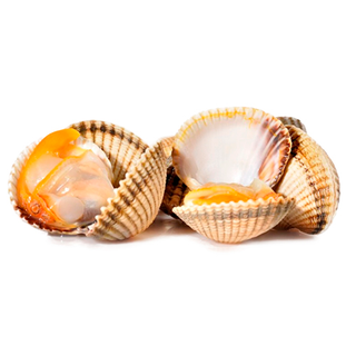 Almeja Babosa 250 Gr.