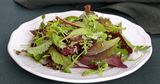 Salade Verte