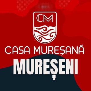 Meniul zilei (intre 12:00-16:00)