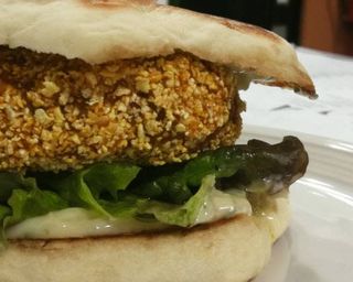 Falafel em Bolo do Coco