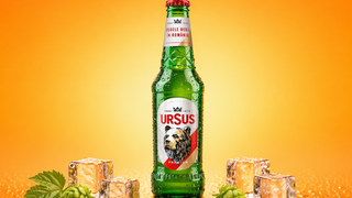 Ursus