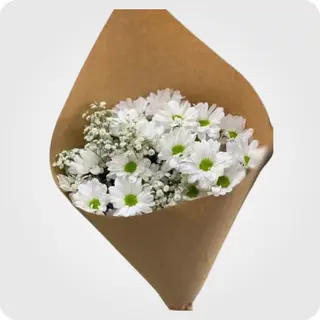 ქრიზანთემა & გიფსოფილა