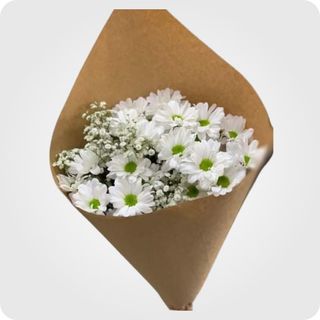 ქრიზანთემა & გიფსოფილა