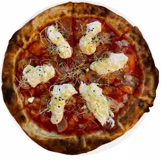 AMATRICIANA
