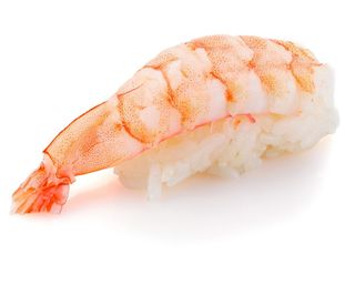Nigiri scampo