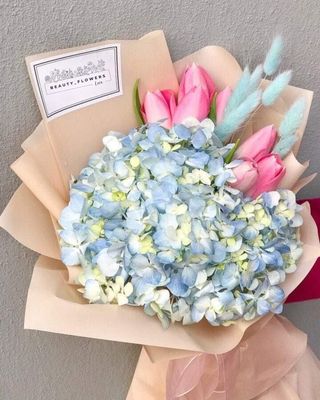 ჰორტენზია ტიტა