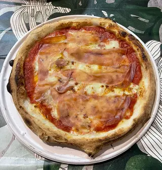 Parmella maxi