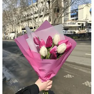 შერეული ტიტები ( 10 ცალი )