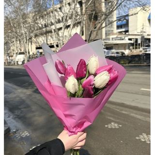 შერეული ტიტები ( 10 ცალი )