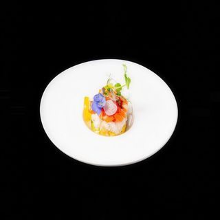 K1. KOBACHI SALMONE