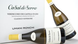 Verdicchio Superiore - Casal di Serra - Umana Ronchi 75 cl