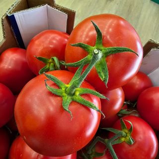 Pomodoro rotondo 400 gr 100 % Sicily