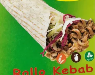 Rollo solo carne