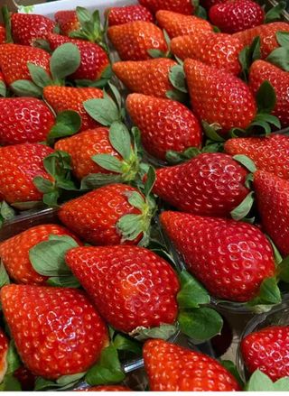 Fragole 250 gr. ca.