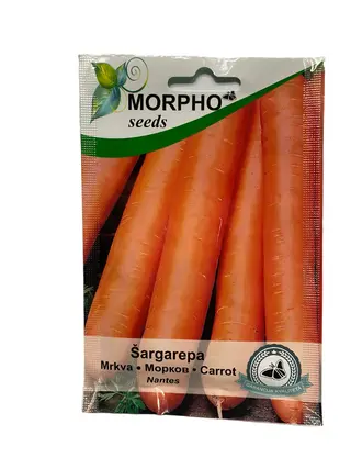 Šargarepa
