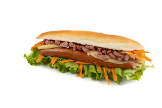 Cachorro Salsicha