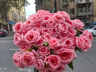 ვარდისფერი სპრეი ვარდები