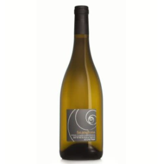 Vino Falanghina (75cl)
