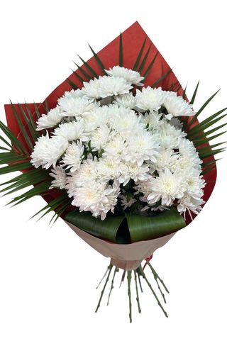 Buchet Crizanteme albe