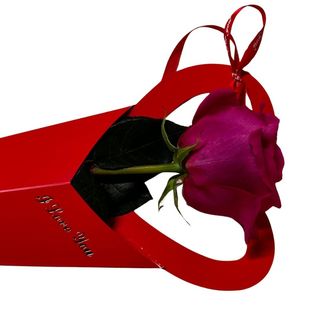 Trandafir roz ambalat