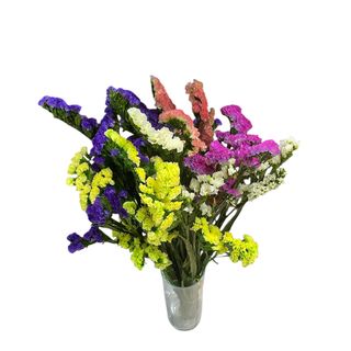 Statice mixto preservado