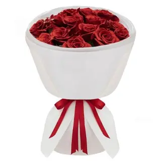 Classic 15 Rose