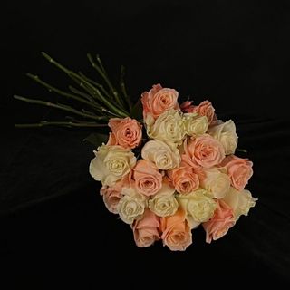 Ramo de 21 Rosas Salmón y Blancas