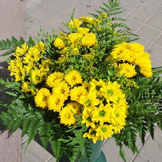 Ramo de margaritas amarillas