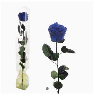 Rosa Eterna Azul Oscuro Grande